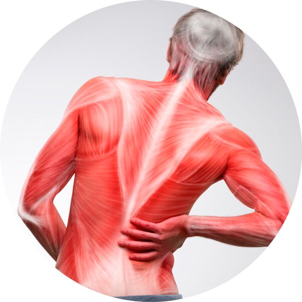 Daugeliui žmonių nugara yra dažnas raumenų ir sąnarių skausmo šaltinis.